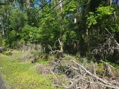 0 Fort Dade Avenue, Brooksville, FL, 34601