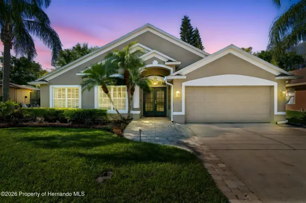 21314 Marsh Hawk Drive, Land O'lakes, FL, 34638