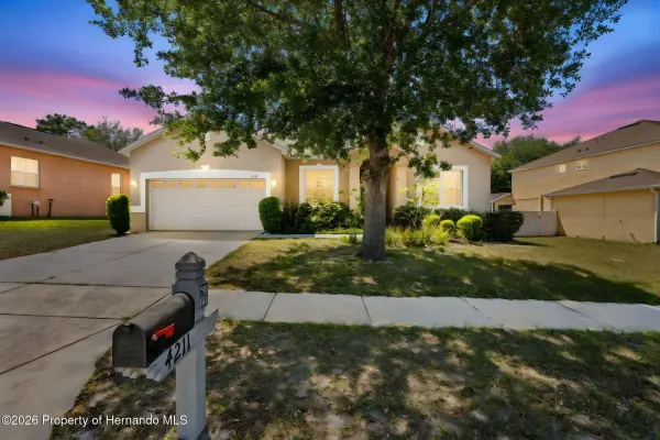 4211 Blakemore Place, Spring Hill, FL, 34609