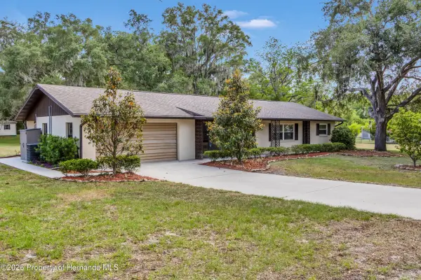 25064 Rattler Lane, Brooksville, FL, 34601