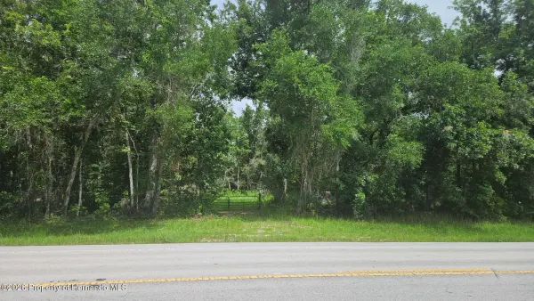 0 Cobb Road, Brooksville, FL, 34601