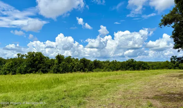 0 Spring Lake Highway, Brooksville, FL, 34601