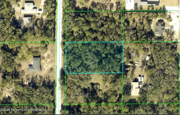 0 Alloy Street, Webster, FL, 33597