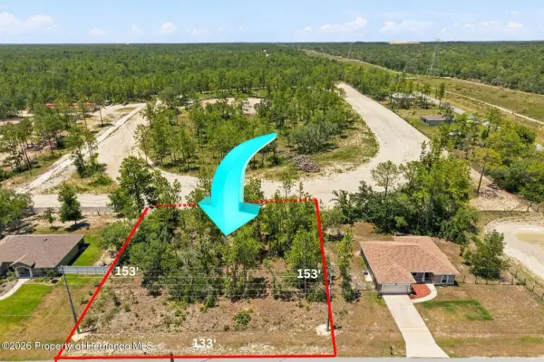Lot 2 Ruffed Grouse Road, Weeki Wachee, FL, 34614
