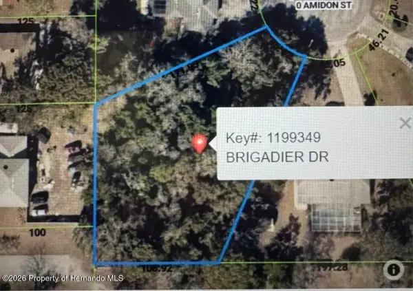 1453 Brigadier Drive, Spring Hill, FL, 34608