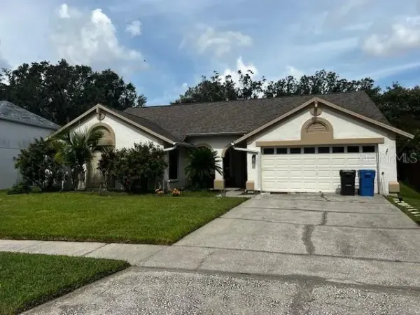18330 Cypress View Way, Tampa, FL, 33647