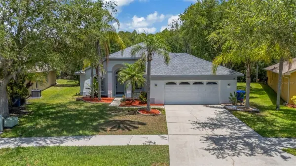 368 Tavernier Circle, Oldsmar, FL, 34677