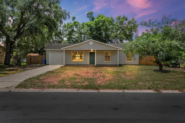 11011 Marian Lane, Riverview, FL, 33578