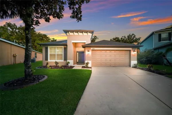 17463 New Cross Circle, Lithia, FL, 33547