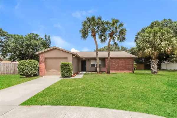 1002 Pinehaven Court, Brandon, FL, 33511