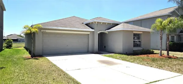 10033 Crested Fringe Drive, Riverview, FL, 33578