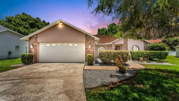 2219 Towering Oaks Circle, Seffner, FL, 33584