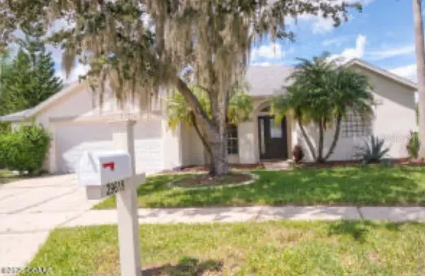 29619 Allegro Drive, Wesley Chapel, FL, 33543