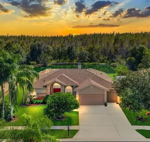 18408 Bittern Avenue, Lutz, FL, 33558