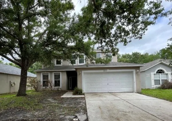 19222 Wood Sage Drive, Tampa, FL, 33647