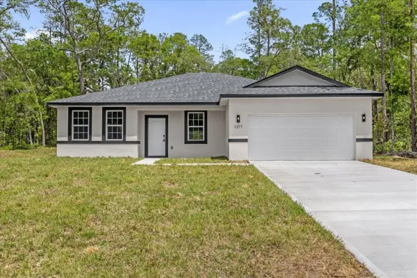 1377 W Alexander Drive, Citrus Springs, FL, 34434
