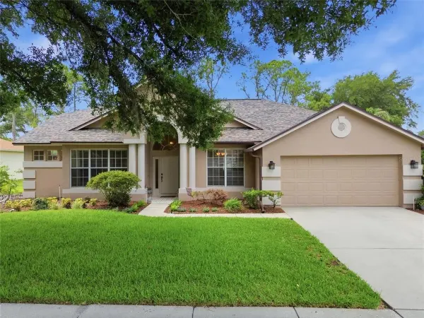 4941 Willow Ridge Terrace, Valrico, FL, 33596
