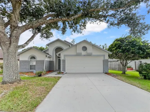 1537 Maximilian Drive, Wesley Chapel, FL, 33543