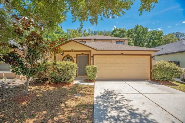 13727 Gentle Woods Avenue, Riverview, FL, 33569