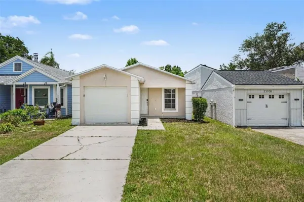 23110 Dover Drive, Land O Lakes, FL, 34639