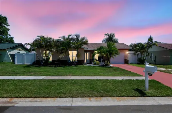 6317 Frost Drive, Tampa, FL, 33625