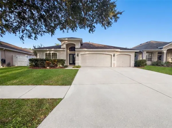 19606 Morden Blush Drive, Lutz, FL, 33558