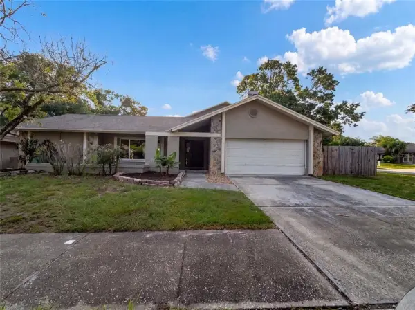 37 Osprey Street, Safety Harbor, FL, 34695