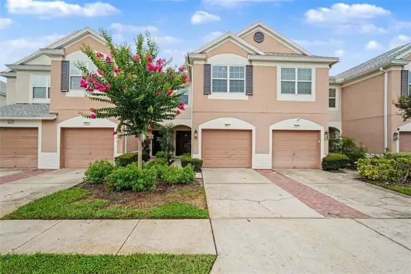 26533 Castleview Way, Wesley Chapel, FL, 33544