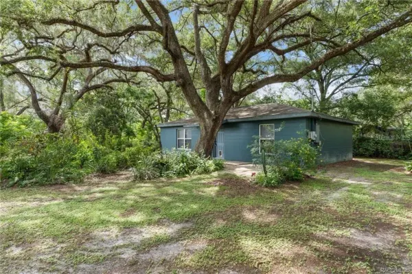 1317 Carl Street, Inverness, FL, 34453