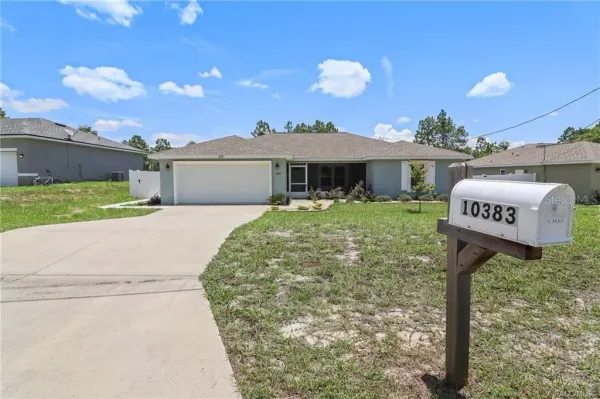 10383 N G Martinelli Boulevard, Citrus Springs, FL, 34433