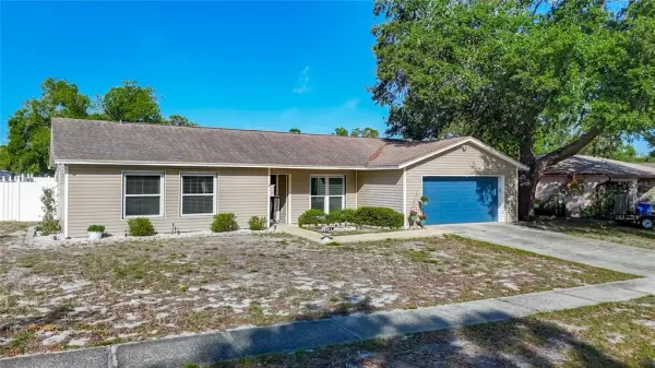 3729 Sand Pebble Drive, Valrico, FL, 33596