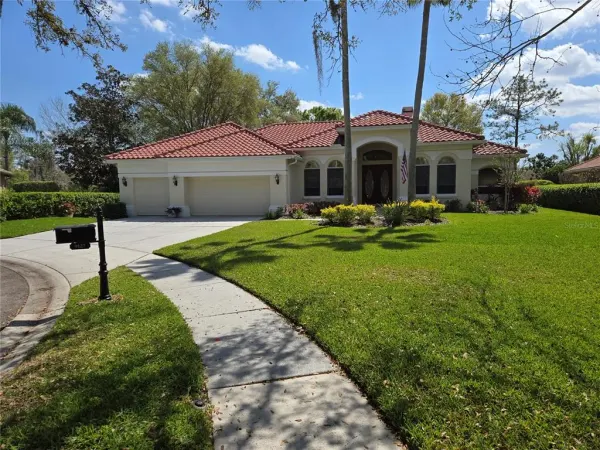 9127 Woodridge Run Drive, Tampa, FL, 33647