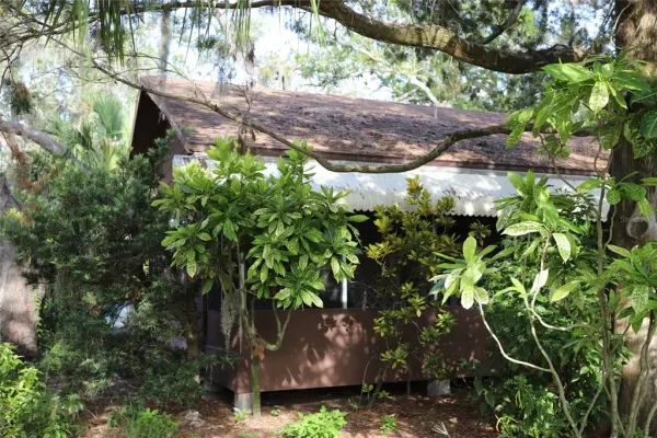 260 Orange Street, Palm Harbor, FL, 34683
