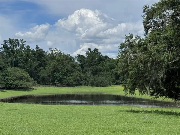 20716 Ramer Road, Dade City, FL, 33523