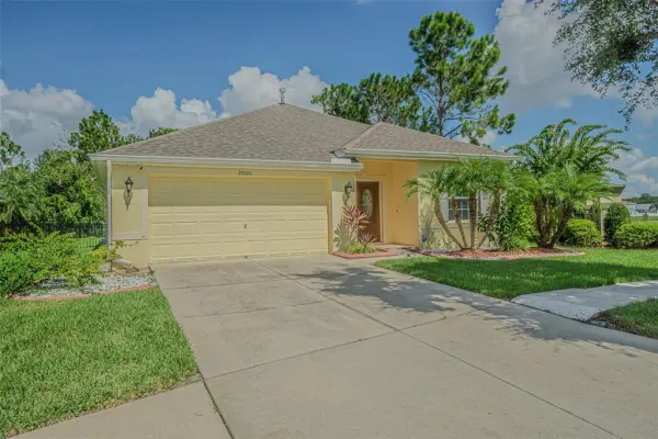 20520 Sultana Court, Tampa, FL, 33647