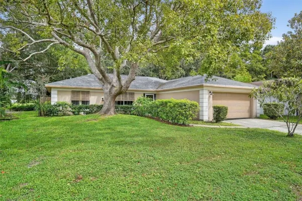 3602 Player Drive, New Port Richey, FL, 34655