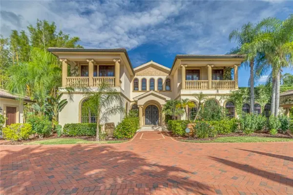 117 Bellamere Palms Court, Lutz, FL, 33549
