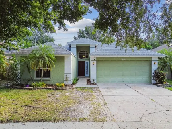 5646 Paddock Trail Drive, Tampa, FL, 33624