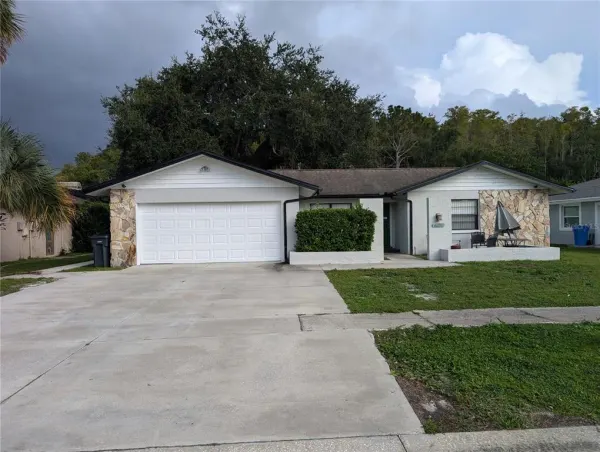 4208 Summerdale Drive, Tampa, FL, 33624