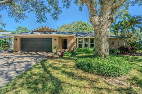 936 Highview Drive, Palm Harbor, FL, 34683