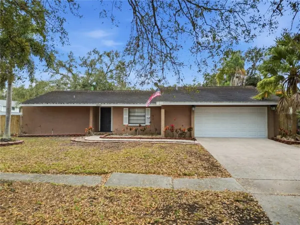 4602 Buckeye Road, Tampa, FL, 33624