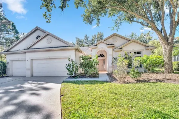 10218 Shadow Branch Drive, Tampa, FL, 33647