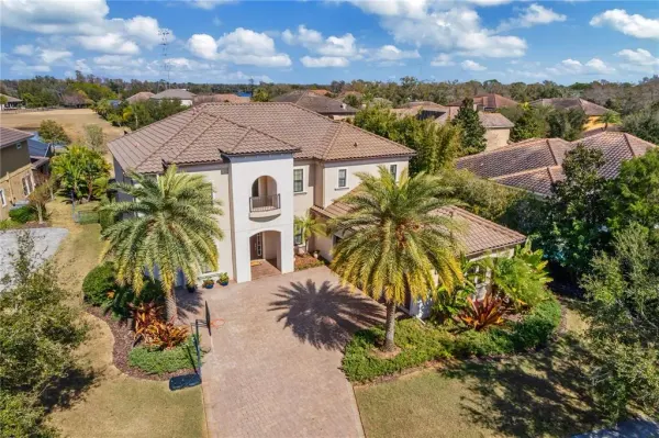 9127 Tillinghast Drive, Tampa, FL, 33626