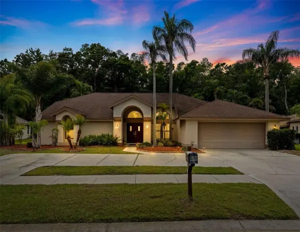 450 Waterford Circle E, Tarpon Springs, FL, 34688