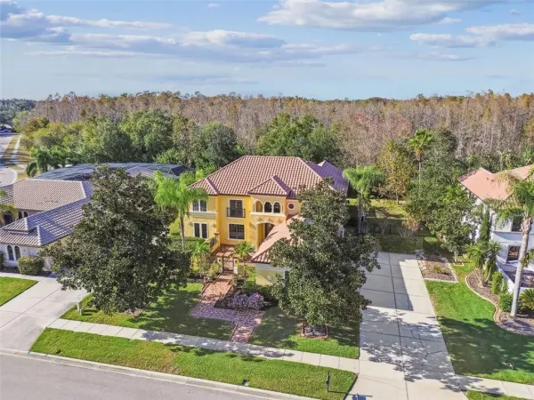 3811 Ivydale Court, Land O Lakes, FL, 34638