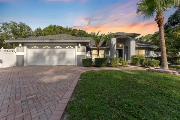 15123 Bald Eagle Street, Tampa, FL, 33625