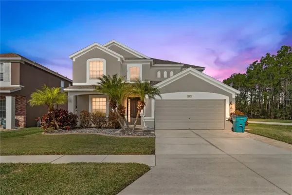 30419 Princess Bay Drive, Wesley Chapel, FL, 33545