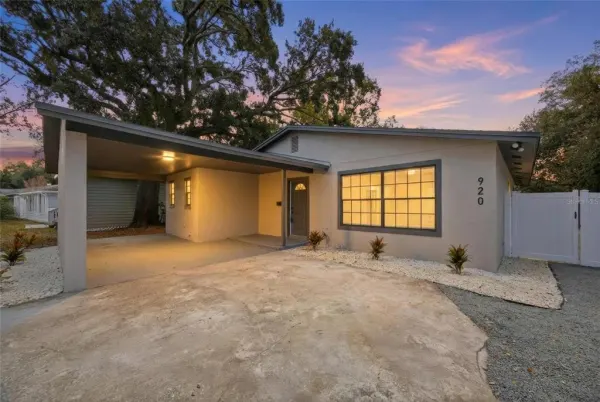 920 W Candlewood Avenue, Tampa, FL, 33603