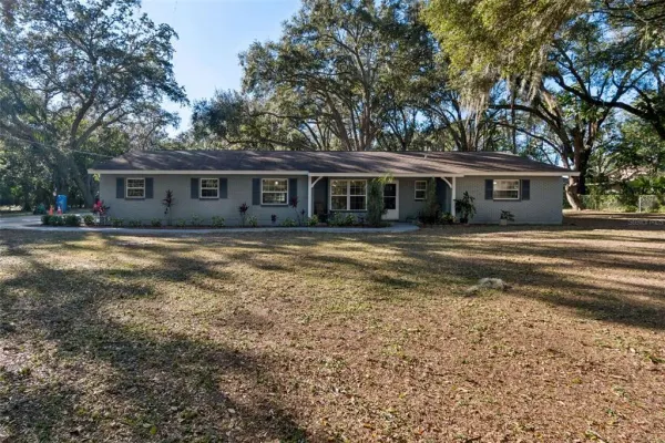 9628 Davis Road, Tampa, FL, 33637