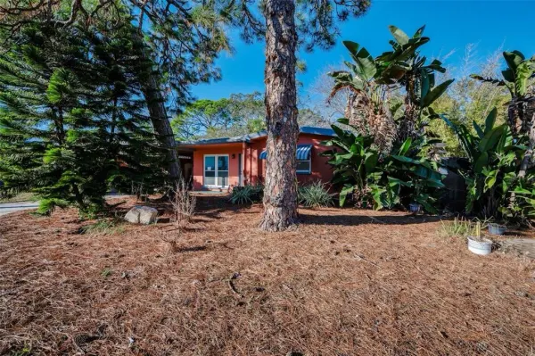 406 Orchid Lane, Palm Harbor, FL, 34683